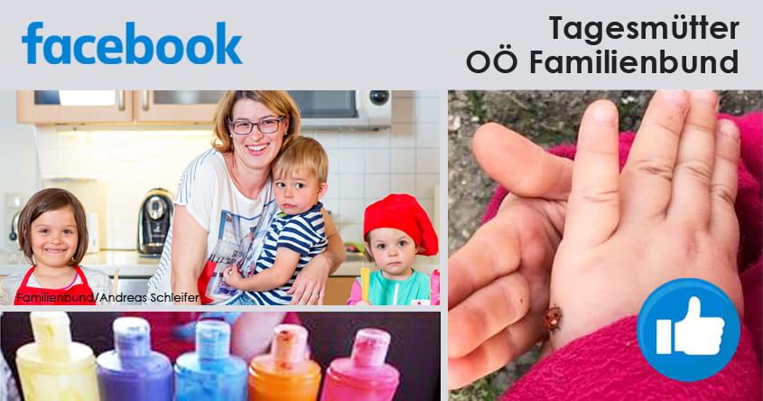 zur Facebookgruppe Tagesmütter OÖ Familienbund (öffnet ein neues Fenster)