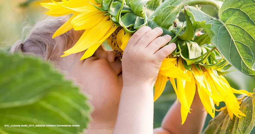 Mädchen riecht an Sonnenblume