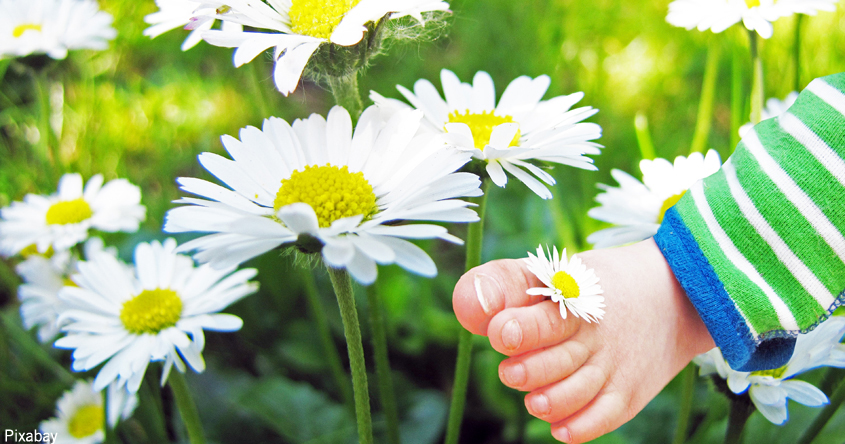 Details zu El-Ki-Gr Sonnenkinder ab 2 J., FBZ Katsdorf-Reiser