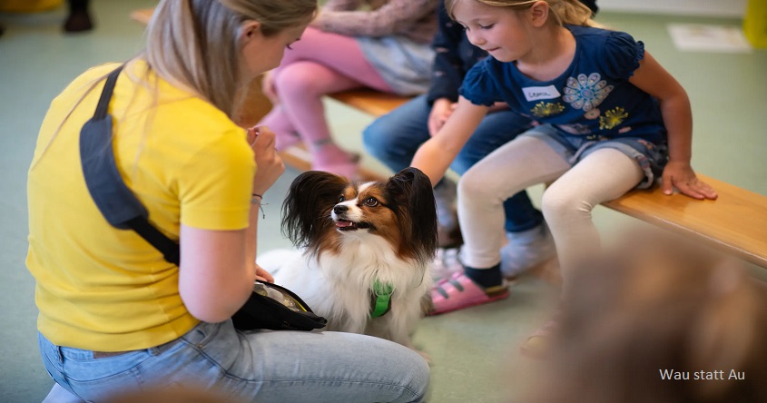 Details zu Hundebegegnungs-Training für mehr Sicherheit im Alltag