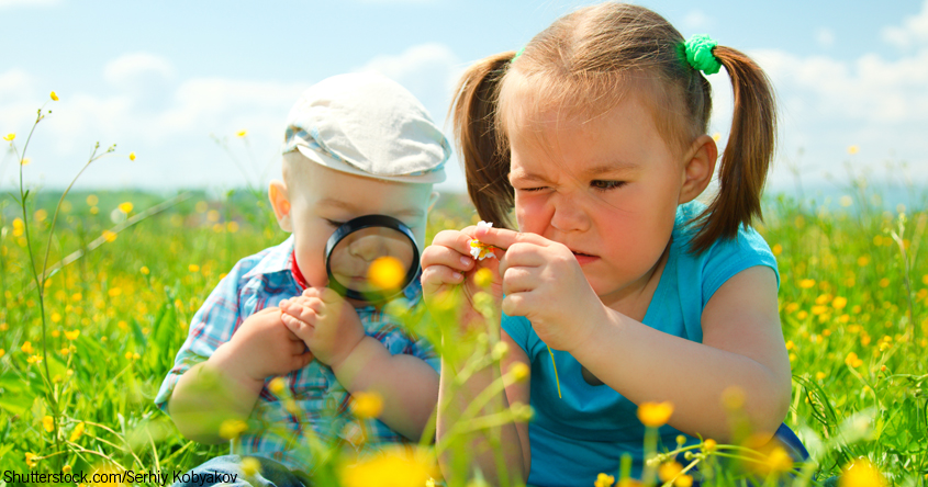 Details zu Eltern-Kind-Gruppe Tiergestützte Natur- und Waldspielgruppe - Scharten