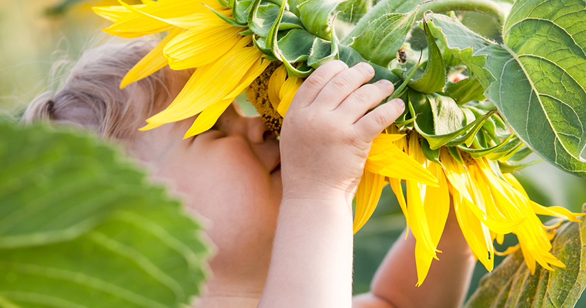 Details zu Eltern-Kind-Gruppe Sonnenblume - Eferding