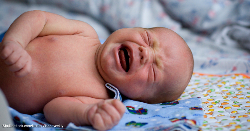 Details zu Vortrag Babys dürfen weinen - Strategien für Eltern - Neuhofen