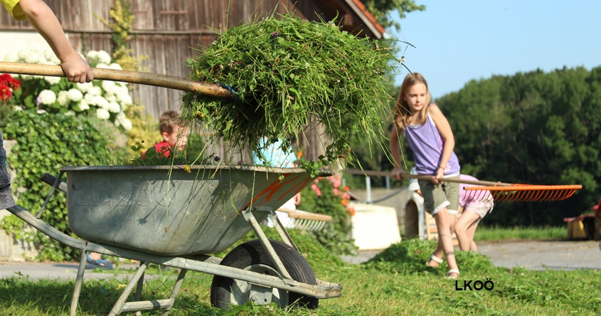 Details zu Familie am Bauernhof - Vom Korn zum Brot