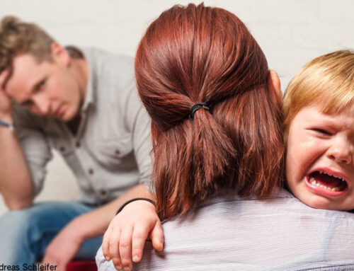 Neue Familienbund-Beratungsstelle in Perg