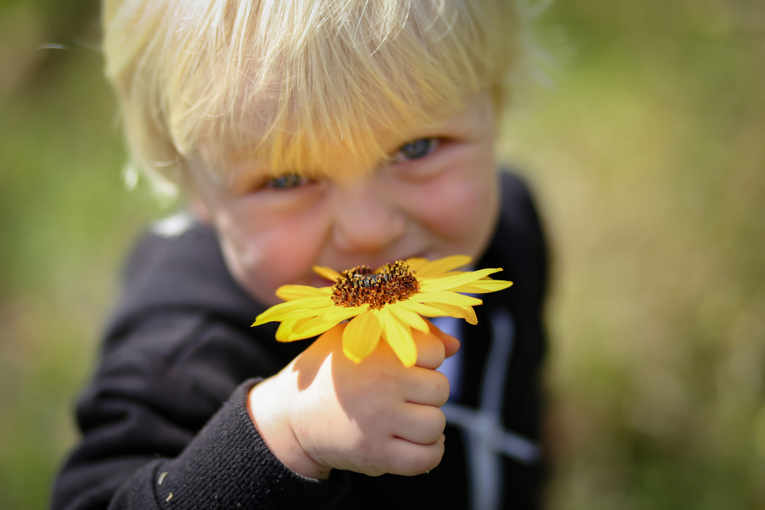 Familienbundzentrum Linz-Zentrum, Bub riecht an Blume