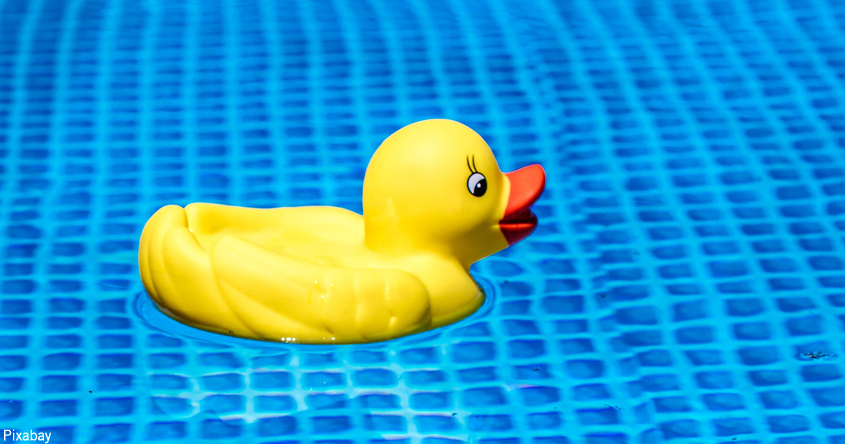 Swimming_Pool_Ente_Wasser