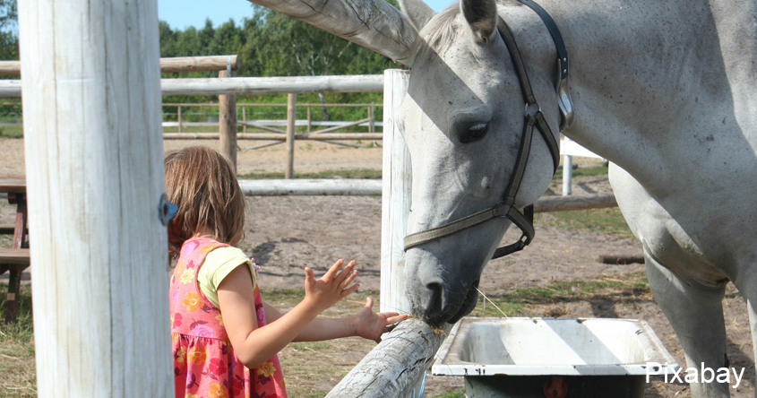 Reiten Kinder