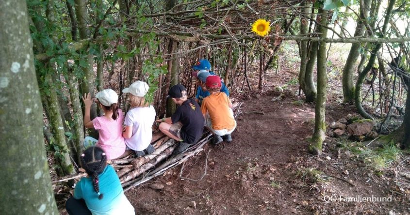 Kinder im Wald