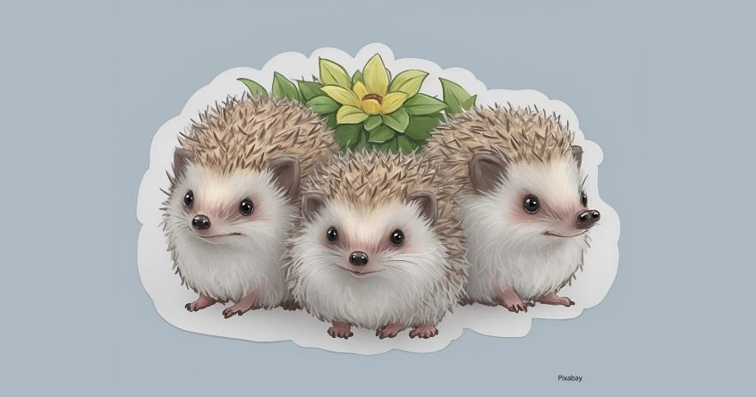 2 igel gezeichnet