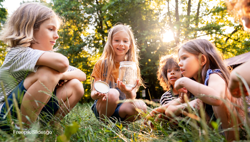 Kinder im Wald