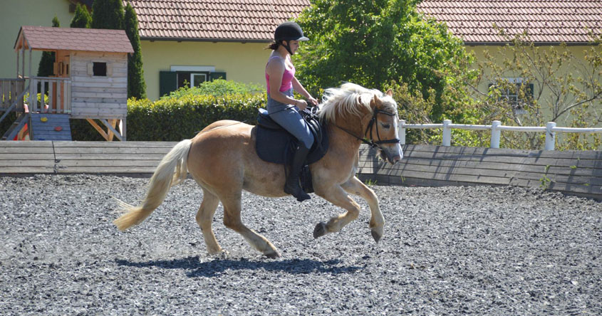 Reiten lernen