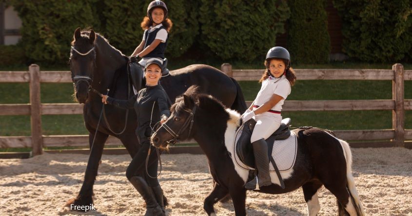 Reiten lernen, Pferde
