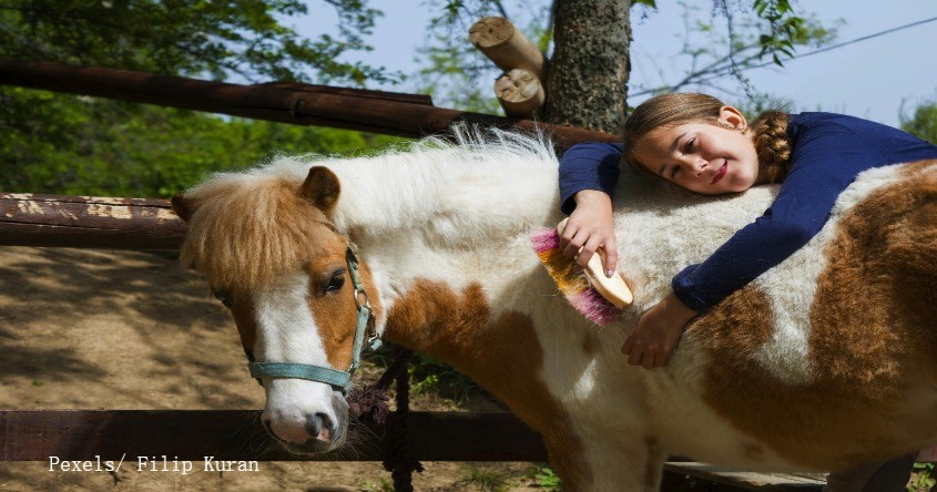 Mädchen umarmt Pony