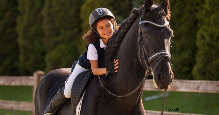 Reiten lernen, Pferde