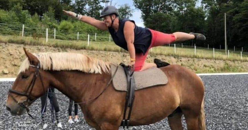Pferd, Turnübung