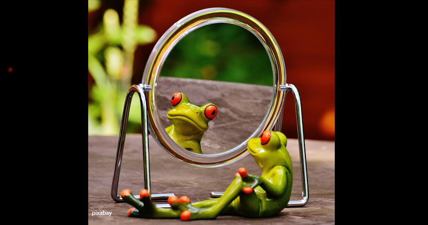 Frosch schaut in Spiegel