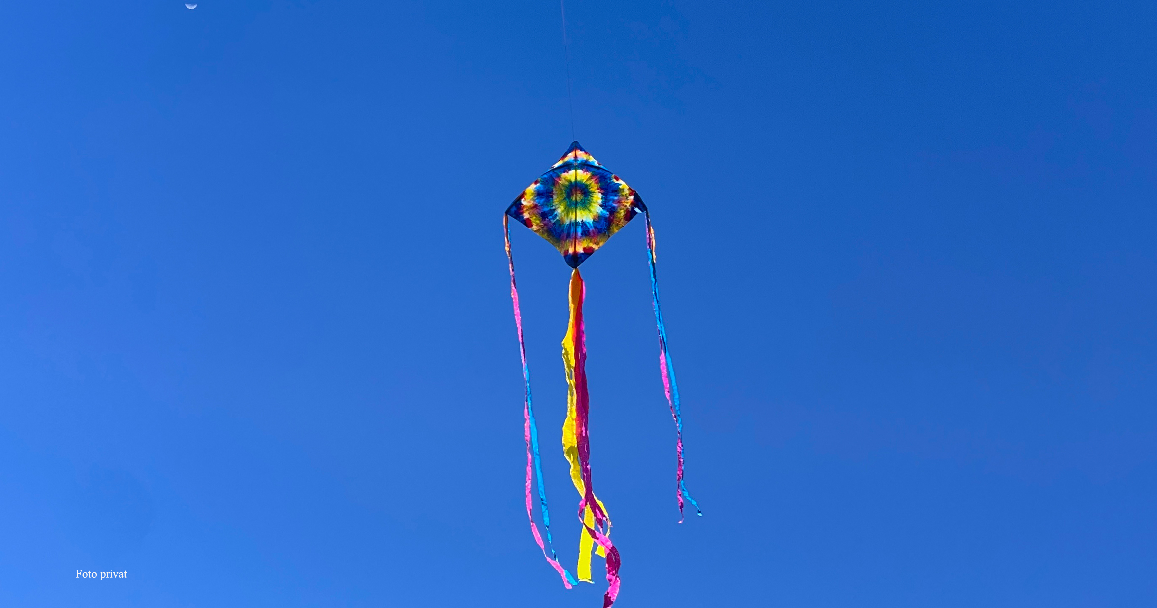 Flugdrache