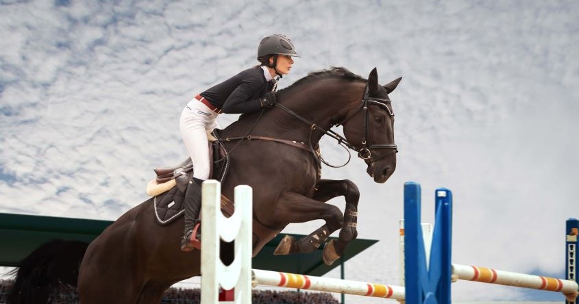 Freepik_reiten ab reiterpass