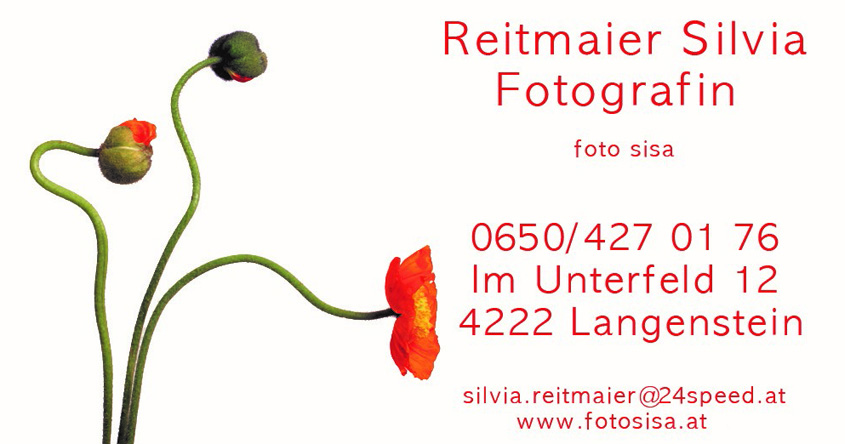 Visitenkarte Silvia Reitmaier