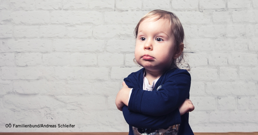 Vortrag: Ich zähle jetzt bist Drei!