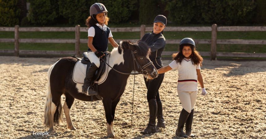 Reiten lernen, Pferde