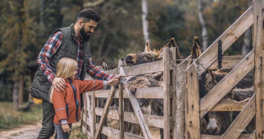 Papa, Kind, Bauernhof, Zeit zusammen