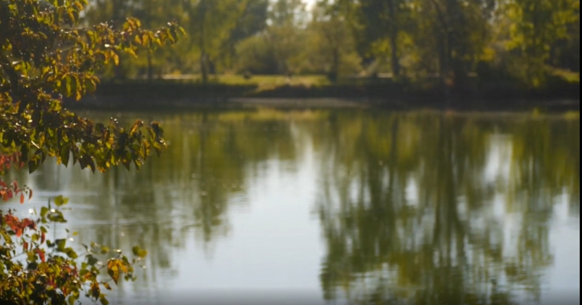 Bild von einem Teich