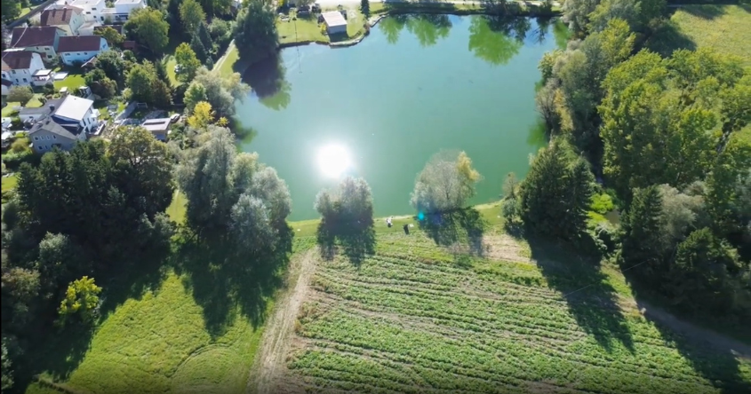 Bild vom Fischerteich