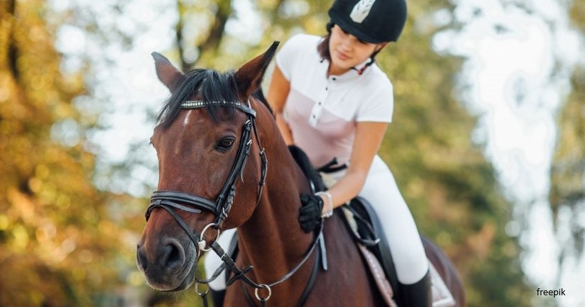 Freepik_reiten ab reiterpass