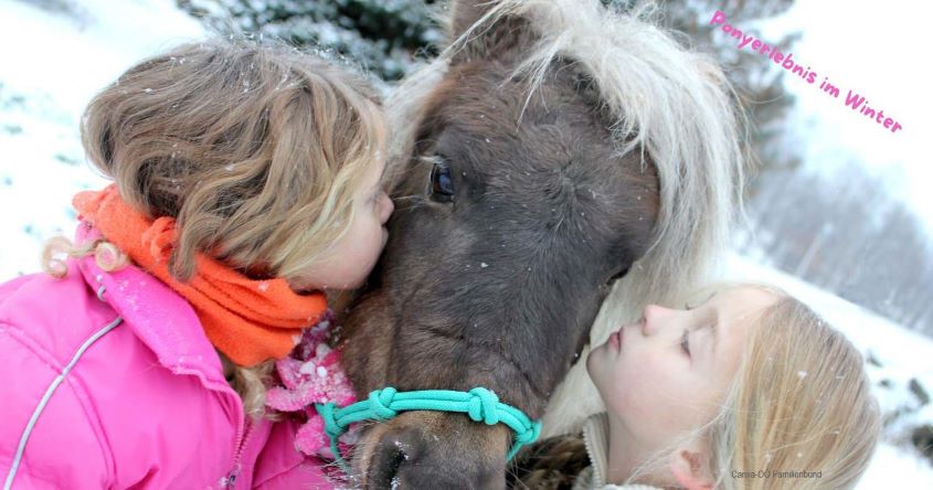 Pony, Kinder, Winter