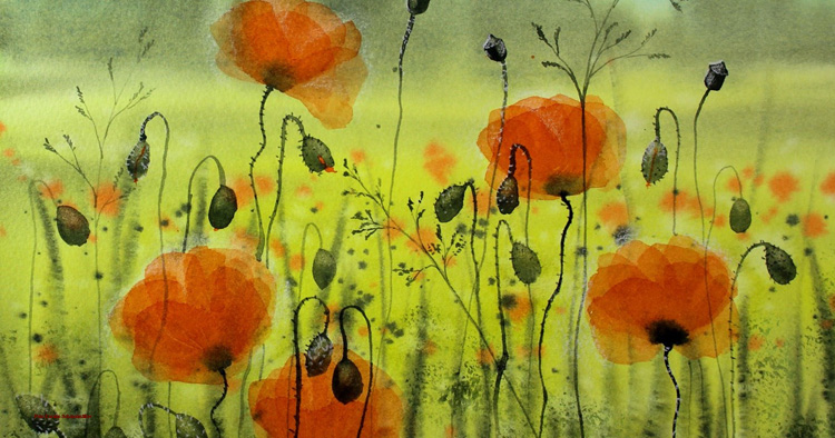 Mohnblumen