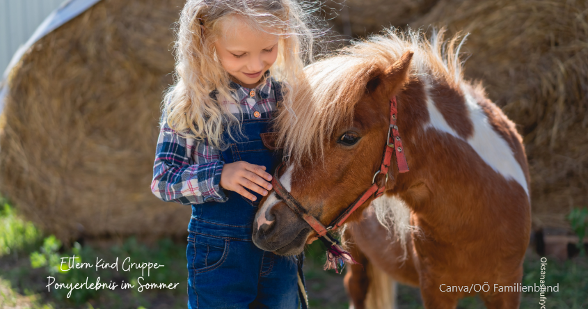 Pony, Kind, Sommer