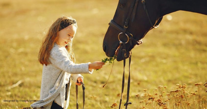 reiten lernen