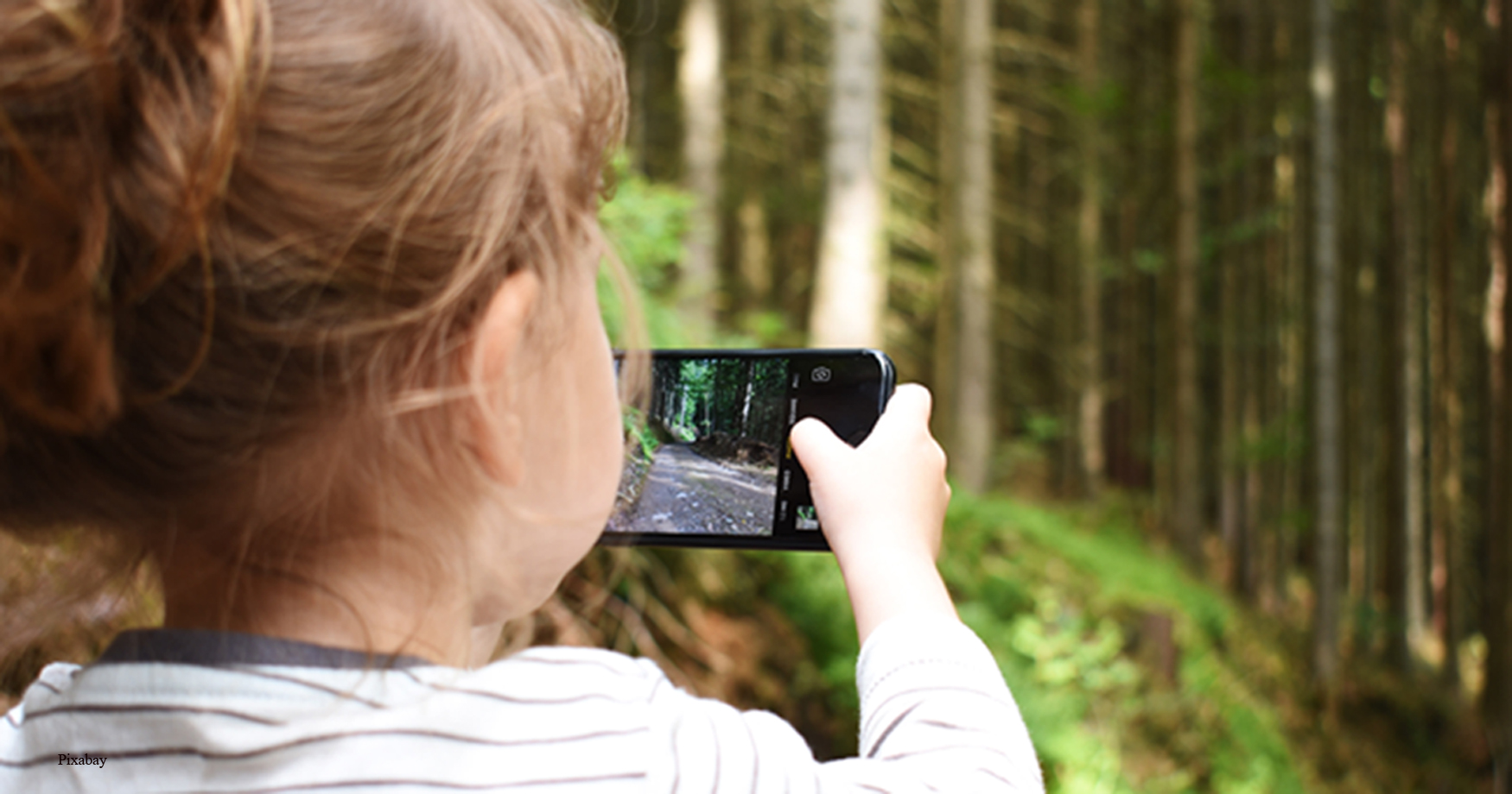 Kind Handy Wald