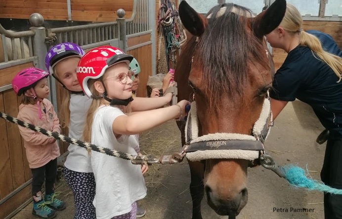Ponyreiten