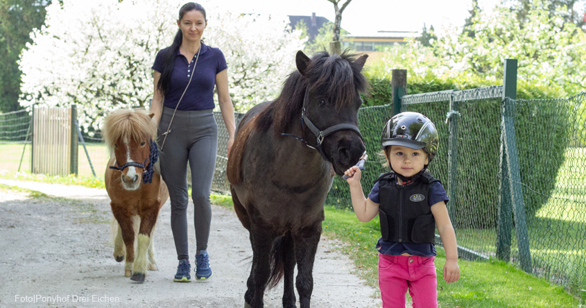 Kind mit Ponys